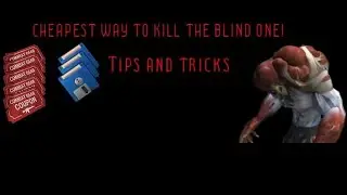 *CHEAPEST* way to kill the blind one/crate opening/Floppy disk!