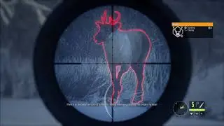theHunter: Call of the Wild | Миссии &laquo;Медвежьей тайги&raquo;: &laquo;Раненый&raquo;