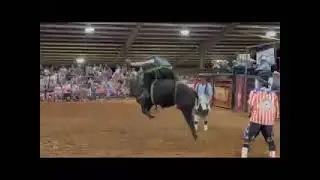 Meriwether county bull ride 89 points Michael torres.. circle b cattle company riding for l.f.b