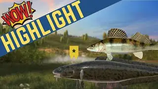 FINALLY TROPHY BURB!!! | Trophy Burbot and Volga Zander Spot | Sura | May 11, 2024