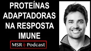 ⚔️🛡️Prote&iacute;nas Adaptadoras na Resposta Imune - Aula 17 #Imunologia #Medicina #biomedicina