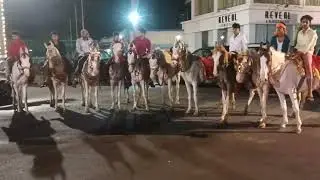 Sanjay tiwary stud farm house in jsr #horselover #horseriding 7903330410
