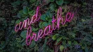 The Drugless Doctors: Lung Health & Breathing