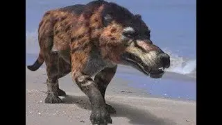 Science News - Fossil discovery maps first million years after asteroid that killed the dinosaurs