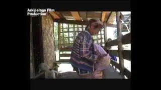 Babaylan of Sitio Tundok.avi