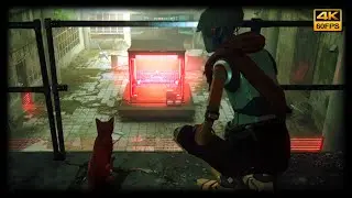 Stray | PlayStation 5 Version [4K 60FPS]