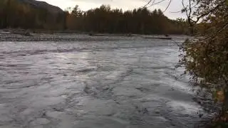 Vedder River - Oct. 22, 2016