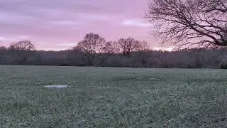 ChaosEvolution - Alone In The Simulation [Preview]