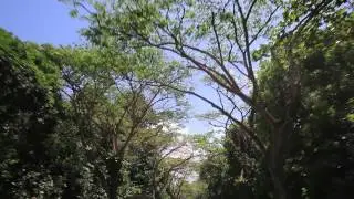 MANDAI ROAD