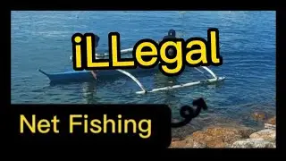 iLLegal Net Fishing in Seawall SRP
