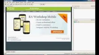 Ra Workshop - SAP Export