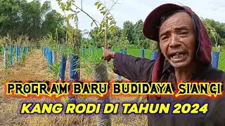 PROGRAM BARU BUDIDAYA SIANCI KANG RODI DI TAHUN 2024