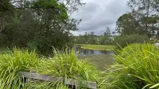 Sydney Hiking I 悉尼徒步：Warriewood Wetland