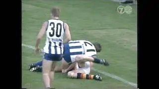 Adelaide Crows/Shaun Rehn ROBBED Peter Bell match-winning Goal