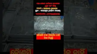 #odishajob #job #odishajobinfo #odishajobinfo #odishajobupdate