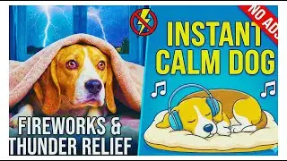 Dog Anxiety Relief for Fireworks & Thunder ⚡ Remove Fear & Stress Instantly | Calm Dog 12 Hour