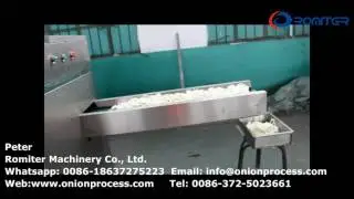 Full Automatic Onion Slice Cutting Machine for Dehydrated Onion Production Line