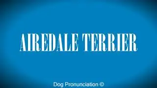 How to pronounce  AIREDALE TERRIER
