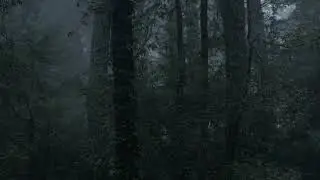 Heavy Rainstorm And Terrible Thunder Sounds. Heavy Rain & Thunder Will Make You Sleep Instantly