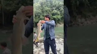monster snow trout( asala fish)_himalayan fising