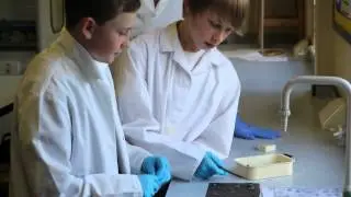 Owl Pellet Dissection - National Science & Engineering Week
