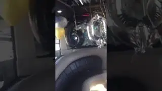 White Rose Limo's 44 Passenger Luxury Party Bus w/ Birthday Decorations