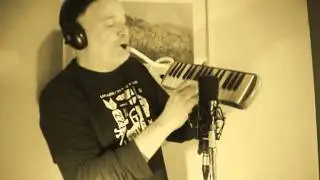 MELODICA IN THE LOOP