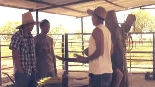 Casos de la vida real ( Campesinos Rap Y Las Waffen)
