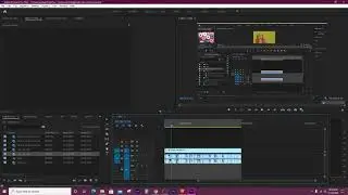 Audio waveform in Adobe Premier