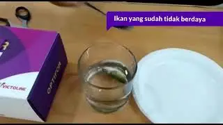 Optifor