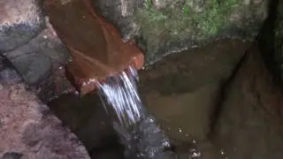 Gutman's Cave - In Search of Alaya