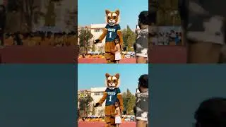 MANIPAL MARATHON 2023 | SPORTS | DRISHYAM STUDIOS