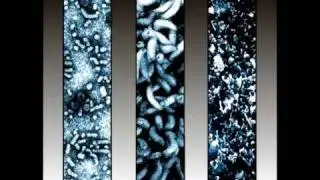Empty Space - Consume, Digest, Excrete