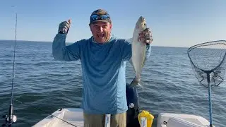 Fishing Long Island Sound - Fluke & Porgies | Bluefish Blitz | JoJo Napoli - Captain of the Kitchen