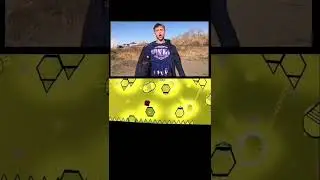 Rasa - Пчеловод в геометри даш meme level #shorts