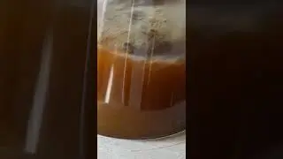 Coffee macro video. Best opening sound