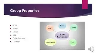 Foundations of Group Behavior   Video
