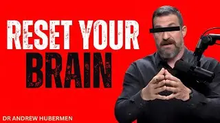 Reset Your Brain: Science-Backed Tools to Break Them &ndash; Dr. Andrew Huberman