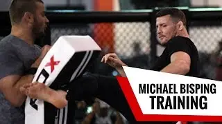 Mike Bisping Training Highlights Before UFC 204