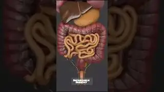 your body's parts price #amazingmemes #facts #viral #memes #trending #shorts #incredibleinsight #yt