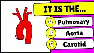 Human Body General Knowledge Quiz: Only the Smartest Will Pass!
