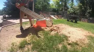 Very First Test of the Alpine Magnum Stump Grinder