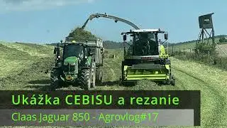 Ukážka CEBISU pri rezaní senáže! - Claas Jaguar 850 - Agrovlog#17