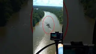 ভয়ঙ্কর আমাজন জঙ্গল 🧐।। Amazon rainforest.