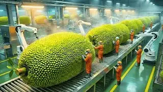 Inside a High-Tech Freeze-Dried Jackfruit Factory: Watch Jackfruit Turn Ultra-Crunchy (Full Process)