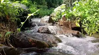 Beautiful River, the Most Suitable Sounds for Meditation, Relaxation and Focus, Sleep Sounds ASMR