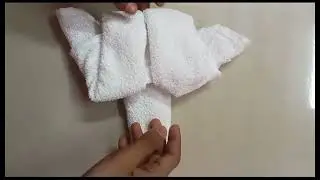 Towel Turtle #cotton #cloth #crafts