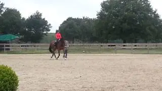 20130626_092750.mp4