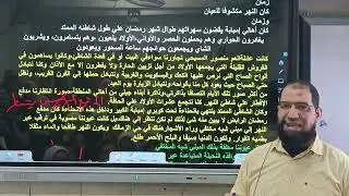 قصة الكنيسة نورت تعلم وتمتع