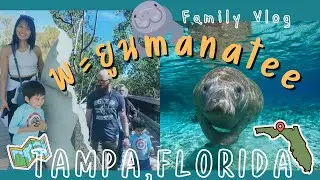 พาไปดูพะยูนแมนาที&ldquo;Manatee&rdquo; 📍Tampa Electric Manatee Viewing Center (Apollo Beach)